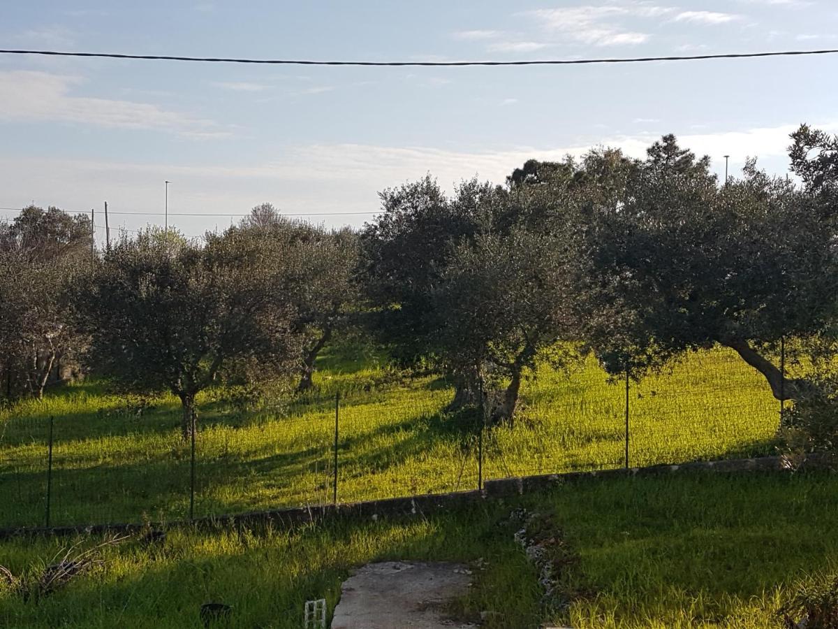Appartamento Puccini Φαζάνο Εξωτερικό φωτογραφία